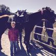Photo #3: Horseback Riding Lessons by Finley River Stables