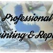 Photo #1: Free Estimate! Professional Painting and Repair