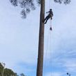 Photo #1: GLISSON'S LAWN AND TREE SERVICE
