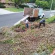 Photo #1: Sanchez tree services and clean ups