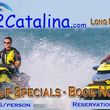 Photo #7: Seadoo to Catalina Island Adventure - Ride with the Dolphins
