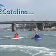 Photo #6: Seadoo to Catalina Island Adventure - Ride with the Dolphins