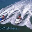 Photo #3: Seadoo to Catalina Island Adventure - Ride with the Dolphins