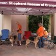 Photo #10: OC K-9 Services