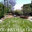 Photo #22: Yard Maintenance by Cardenas Gardening