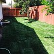 Photo #20: Yard Maintenance by Cardenas Gardening
