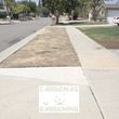 Photo #18: Yard Maintenance by Cardenas Gardening