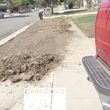 Photo #17: Yard Maintenance by Cardenas Gardening