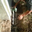 Photo #10: Yard Maintenance by Cardenas Gardening