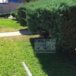 Photo #4: Yard Maintenance by Cardenas Gardening