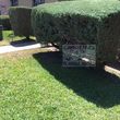 Photo #3: Yard Maintenance by Cardenas Gardening