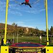 Photo #3: SPECIAL OFFER! BUNGEE TRAMPOLINE, TRACKLESS TRAIN, JUMPERS FOR RENT