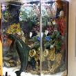 Photo #8: Fish Guy Russ. Fish tank cleaning / Aquarium maintenance