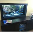 Photo #3: Fish Guy Russ. Fish tank cleaning / Aquarium maintenance