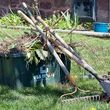 Photo #4: Yard clean up services - top quality work!