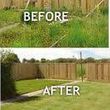Photo #3: Yard clean up services - top quality work!