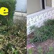 Photo #1: Yard clean up services - top quality work!