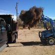 Photo #2: Manure Removal Service
