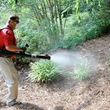 Photo #1: CERTIFIED pest control $50