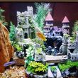 Photo #10: Freshwater aquarium services
