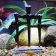 Photo #9: Freshwater aquarium services