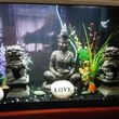 Photo #4: Freshwater aquarium services