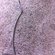 Photo #2: CARPET CLEANING. 2 ROOMS JUST $40!!!