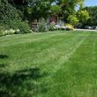 Photo #1: NoBull Lawn Care Services