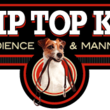 Photo #1: Tip Top K9 Tulsa Dog Training