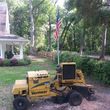 Photo #1: Grinding Special! Stump removal