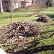 Photo #1: Jr and Son -BRUSH/ LEAF/SNOW REMOVAL