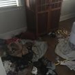 Photo #15: DES.T CLEANING AND JUNK REMOVAL!!!!