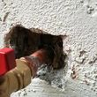 Photo #6: ABC Renovation - Exterior Stucco Repair