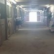 Photo #2: Eagle Point Plantation Equestrian Center