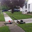 Photo #3: Kevin Williams Lawn Care