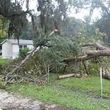 Photo #1: POST STORM PROPERTY CLEAN UP