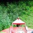 Photo #1: Rab's Tractor Work, Bush Hogging, etc...