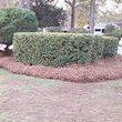 Photo #4: Morales Landscaping