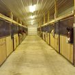 Photo #8: Horse Boarding Available at Still Water Arena