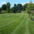 Photo #1: Excellent Lawn Care