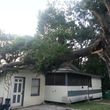 Photo #9: Ambush Tree Service (Fallen limb)