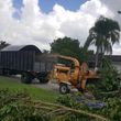 Photo #16: Lopez Tree Service & Stump grinder