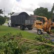 Photo #15: Lopez Tree Service & Stump grinder