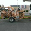 Photo #13: Lopez Tree Service & Stump grinder