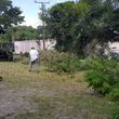 Photo #8: Lopez Tree Service & Stump grinder
