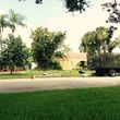 Photo #4: Velasquez Tree & Lawn Service