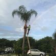 Photo #1: CANCUN LAWN AND TREE SERVICE
