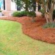 Photo #1: Pine Belt Lawn Care