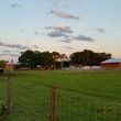 Photo #3: Pasture and Dry Stall Boarding - Federated Farms