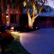 Photo #7: Low Voltage Outdoor Landscape Light Install